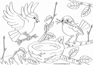 Building A Nest Colouring Page