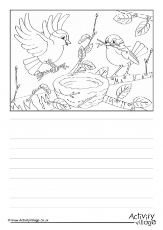Building a Nest Story Paper