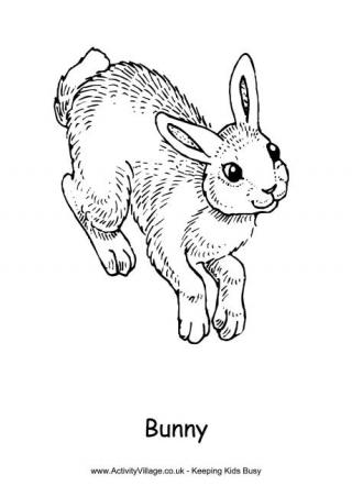 Bunny Colouring Page 2