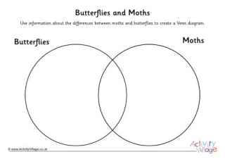 Butterflies and Moths Venn