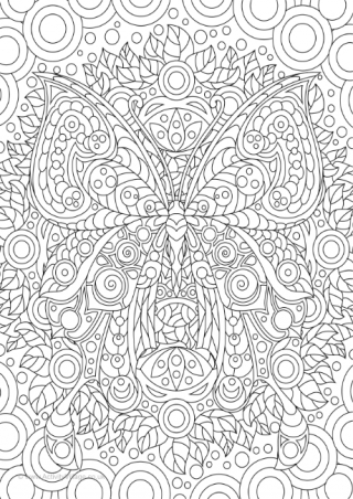 Butterfly Doodle Colouring Page 3