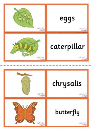 Butterfly Life Cycle Matching Cards