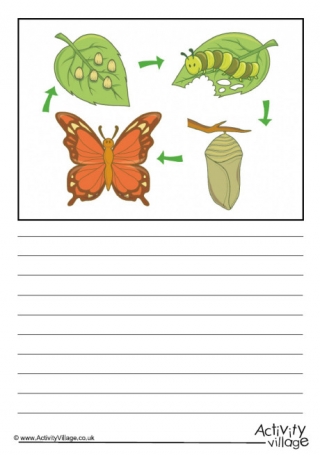Butterfly Life Cycle Story Paper - Blank