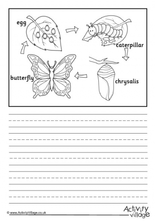 Butterfly Life Cycle Story Paper - Labelled 