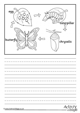 Butterfly Life Cycle Story Paper - Labelled 