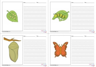 Butterfly Life Cycle Story Paper Set - Blank