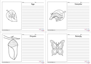 Butterfly Life Cycle Story Paper Set - Labelled