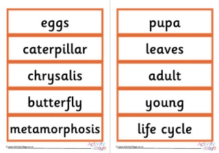 Butterfly Life Cycle Word Cards