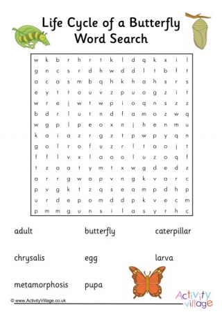 Butterfly Life Cycle Word Search