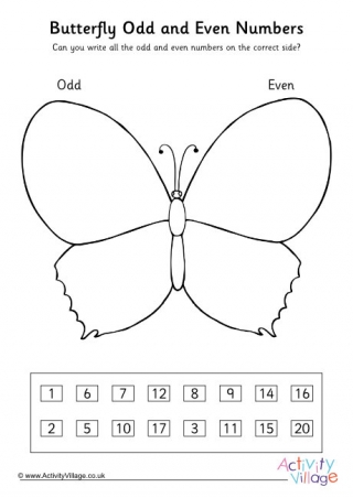 Butterfly Odd and Even Numbers