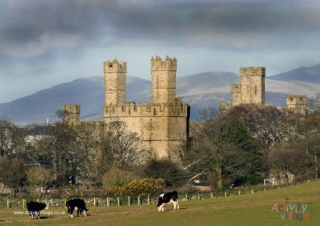 Caernarfon Castle Poster 2