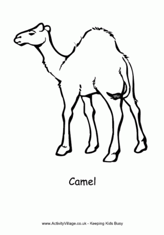 Camel Colouring Page