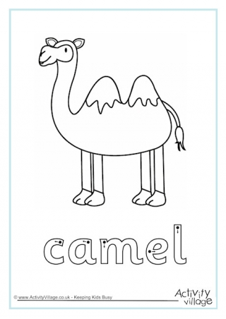 Camel Finger Tracing