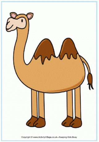 Camel Poster