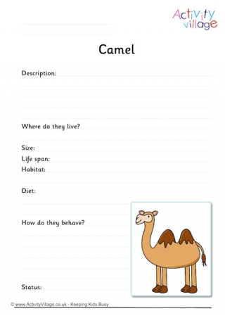 Camel Worksheet