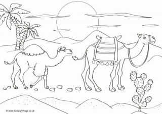 Camels Scene Colouring Page