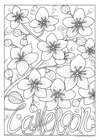 Cameroon National Flower Colouring Page
