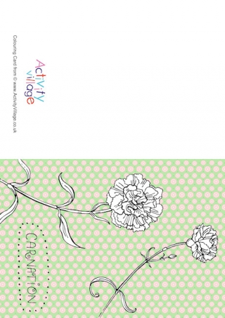 Carnation Colour Pop Colouring Card