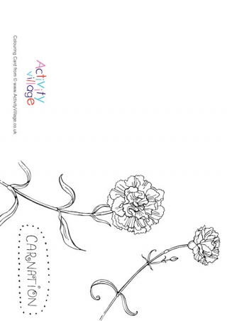 Carnation Colouring Card