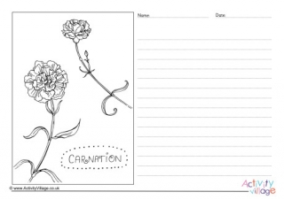 Carnation Story Paper