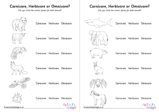 Carnivore Herbivore Omnivore Worksheet