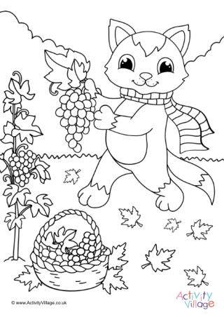 Cat Picking Grapes Colouring Page