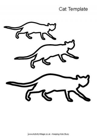 Cat template 1