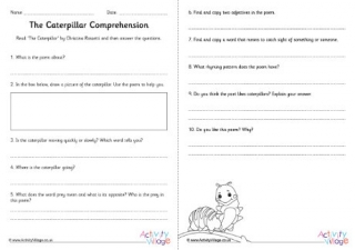 Caterpillar Comprehension Questions