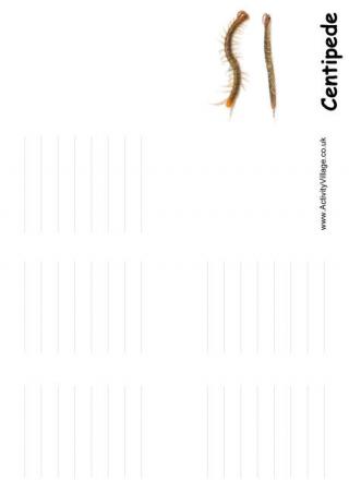 Centipede Booklet