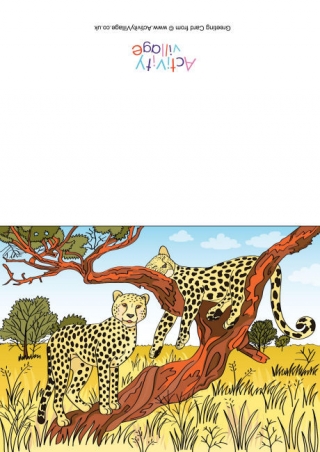 Cheetahs Scene Card