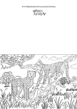 Cheetahs Scene Colouring Card