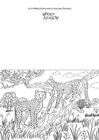 Cheetahs Scene Colouring Card