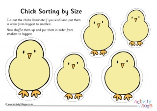 Chick Size Sorting