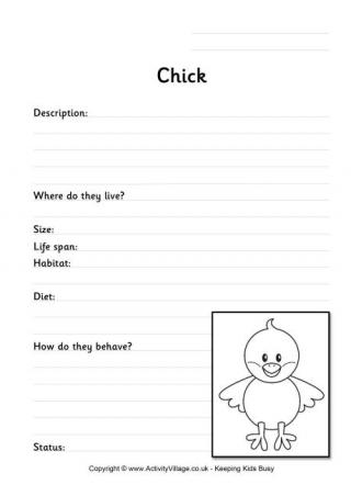 chick worksheet