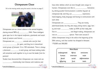 Chimpanzee Cloze