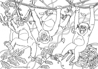 Chimpanzee Scene Colouring Page