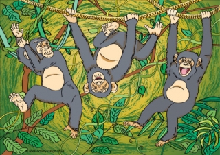 Chimpanzee Scene Poster