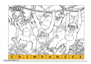 Chimpanzee Spelling Jigsaw