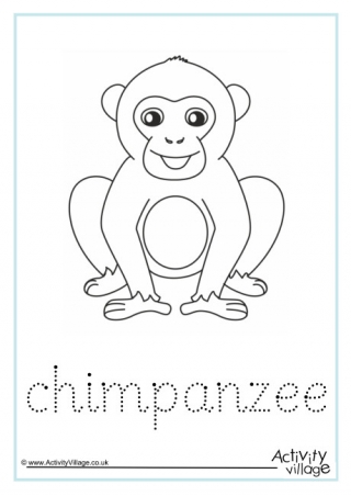 Chimpanzee Word Tracing