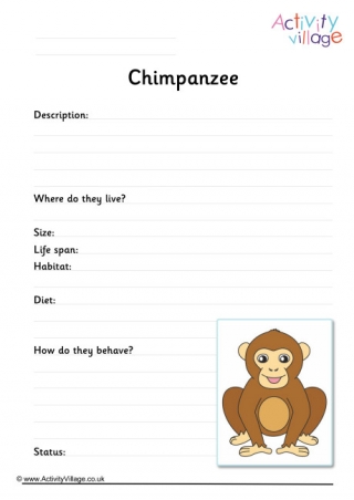 Chimpanzee Worksheet