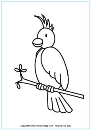 Cockatoo Colouring Page