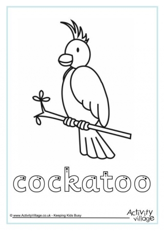 Cockatoo Finger Tracing