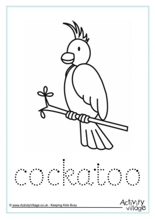 Cockatoo Word Tracing