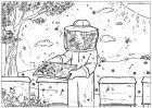 Collecting Honey Colouring Page