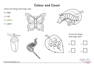 Colour and Count Butterflies