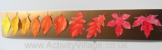 Colour Mixing Leaf Display
