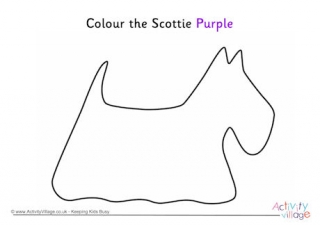 Colour the Scottie Purple