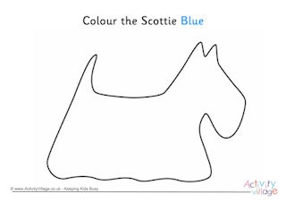 Colour the Scotties