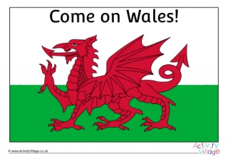 Come on Wales Flag