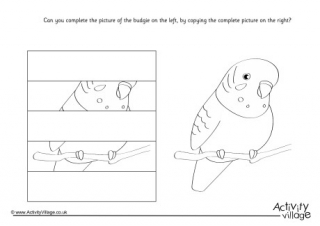 Complete The Budgie Puzzle